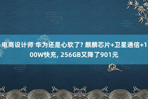 电商设计师 华为还是心软了? 麒麟芯片+卫星通信+100W快充, 256GB又降了901元